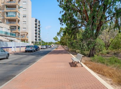 Apartments · Återförsäljning - Guardamar · Alicante · Spanien