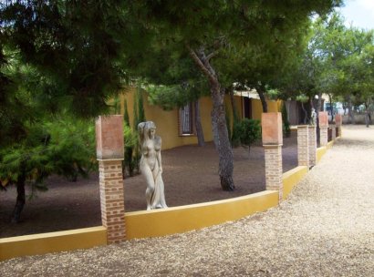 Country Property · Herverkoop - Ciudad Quesada · Lo Pepin · Alicante · Spanje