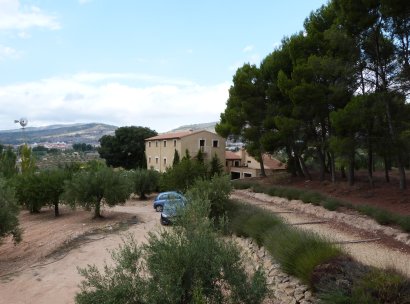 Country Property · Reventa - Ibi · Ibi - Country · Alicante · España