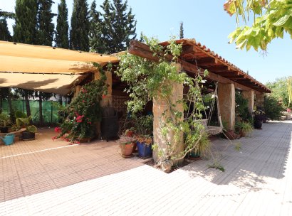 Country Property · Resale - Catral · Catral - Country · Alicante · Spain