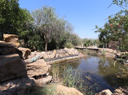 Country Property · Resale - Catral · Catral - Country · Alicante · Spain