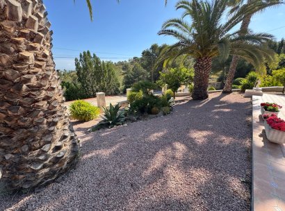 Villa independiente · Reventa - Algorfa · Lomas De La Juliana · Alicante · España