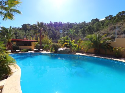 Country Property · Reventa - Aspe · Aspe - Country · Alicante · España