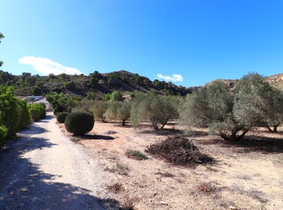 Country Property · Reventa - Aspe · Aspe - Country · Alicante · España