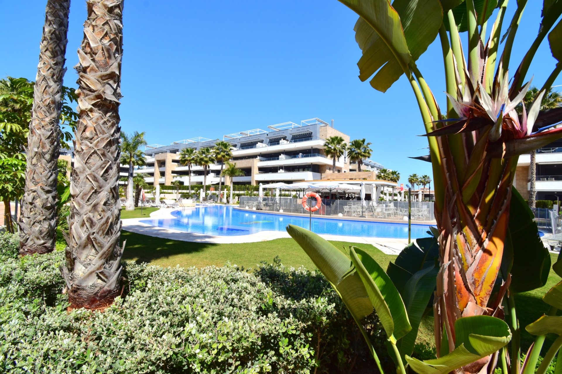 Herverkoop - Appartement - Orihuela Costa - Costa Blanca South