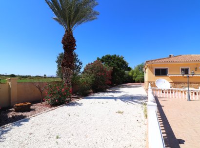 Country Property · Reventa - Catral · Catral - Country · Alicante · España