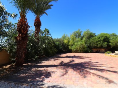 Country Property · Reventa - Catral · Catral - Country · Alicante · España