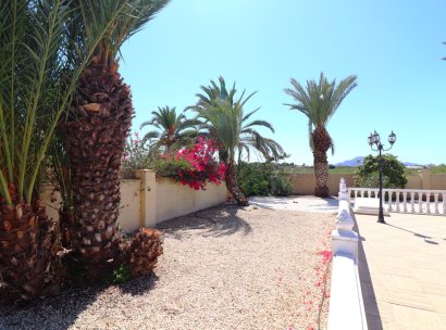 Country Property · Reventa - Catral · Catral - Country · Alicante · España