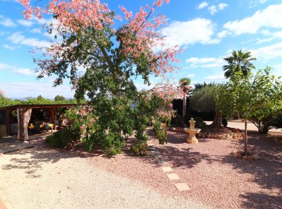 Country Property · Återförsäljning - Orihuela · La Campaneta · Alicante · Spanien