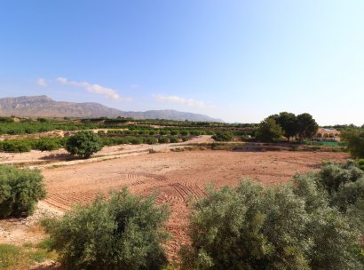 Country Property · Herverkoop - Albatera · Albatera - Country · Alicante · Spanje