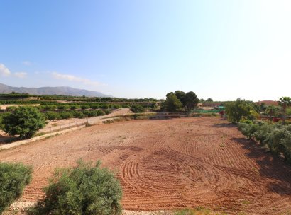 Country Property · Herverkoop - Albatera · Albatera - Country · Alicante · Spanje