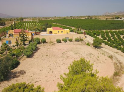 Country Property · Herverkoop - Albatera · Albatera - Country · Alicante · Spanje