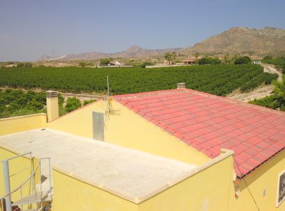 Country Property · Herverkoop - Albatera · Albatera - Country · Alicante · Spanje