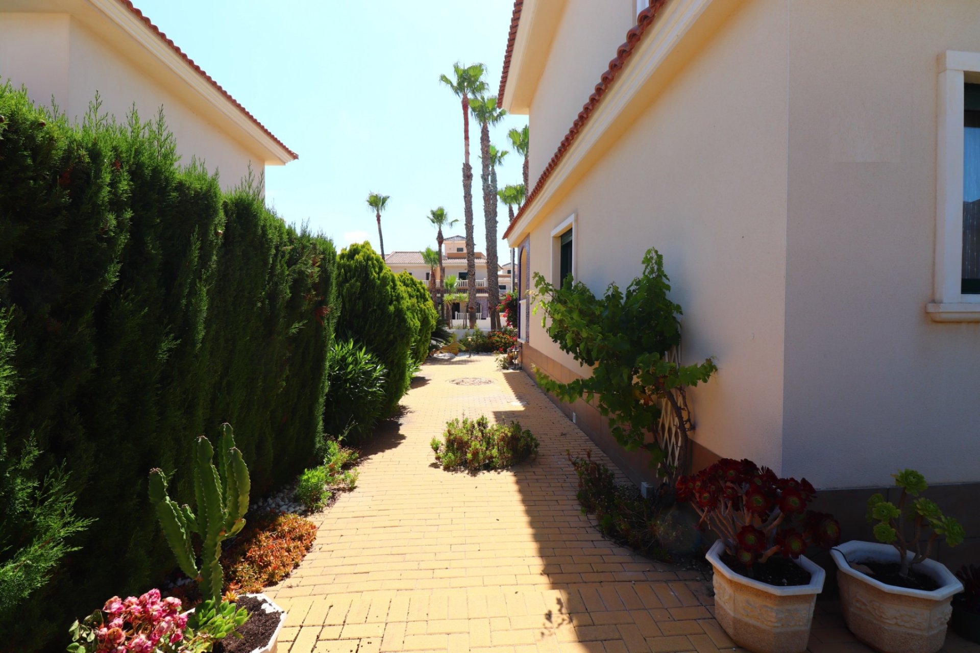 Resale - Townhouse - Ciudad Quesada - Rojales