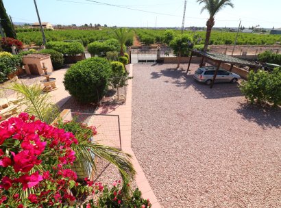 Country Property · Herverkoop - Albatera · Albatera - Country · Alicante · Spanje