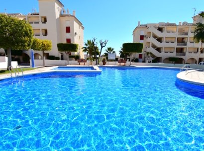 Apartment · Resale - Orihuela Costa · Playa Flamenca · Alicante · Spain