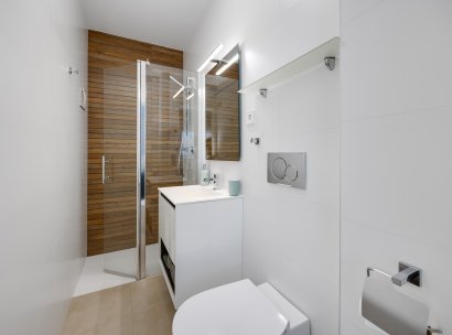 Apartment · Resale - Pilar de la Horadada · Pilar de La Horadada - Town · Alicante · Spain