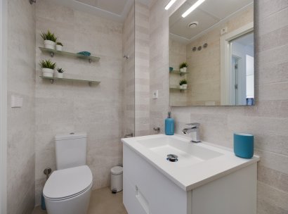 Apartment · Resale - Pilar de la Horadada · Pilar de La Horadada - Town · Alicante · Spain
