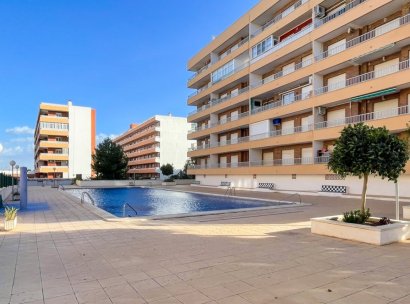 Apartamento · Reventa - Orihuela Costa · Punta Prima · Alicante · España