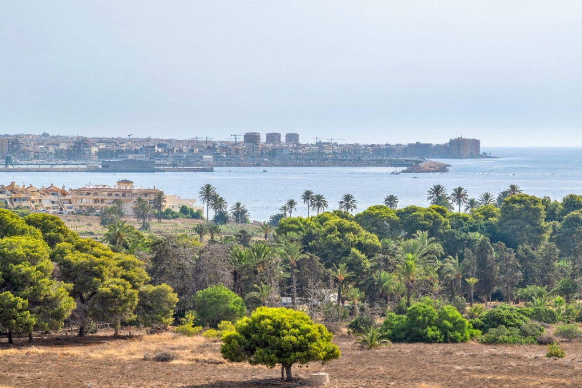Wiederverkauf - Wohnung - Orihuela Costa - Costa Blanca Süd