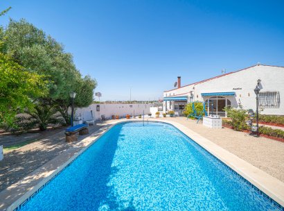 Villa · Reventa - Ciudad Quesada - Rojales · Alicante · España