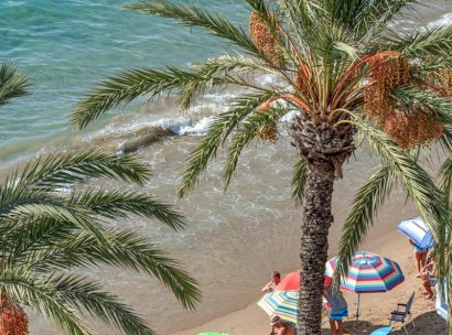 Appartement · Herverkoop - Torrevieja · Alicante · Spanje