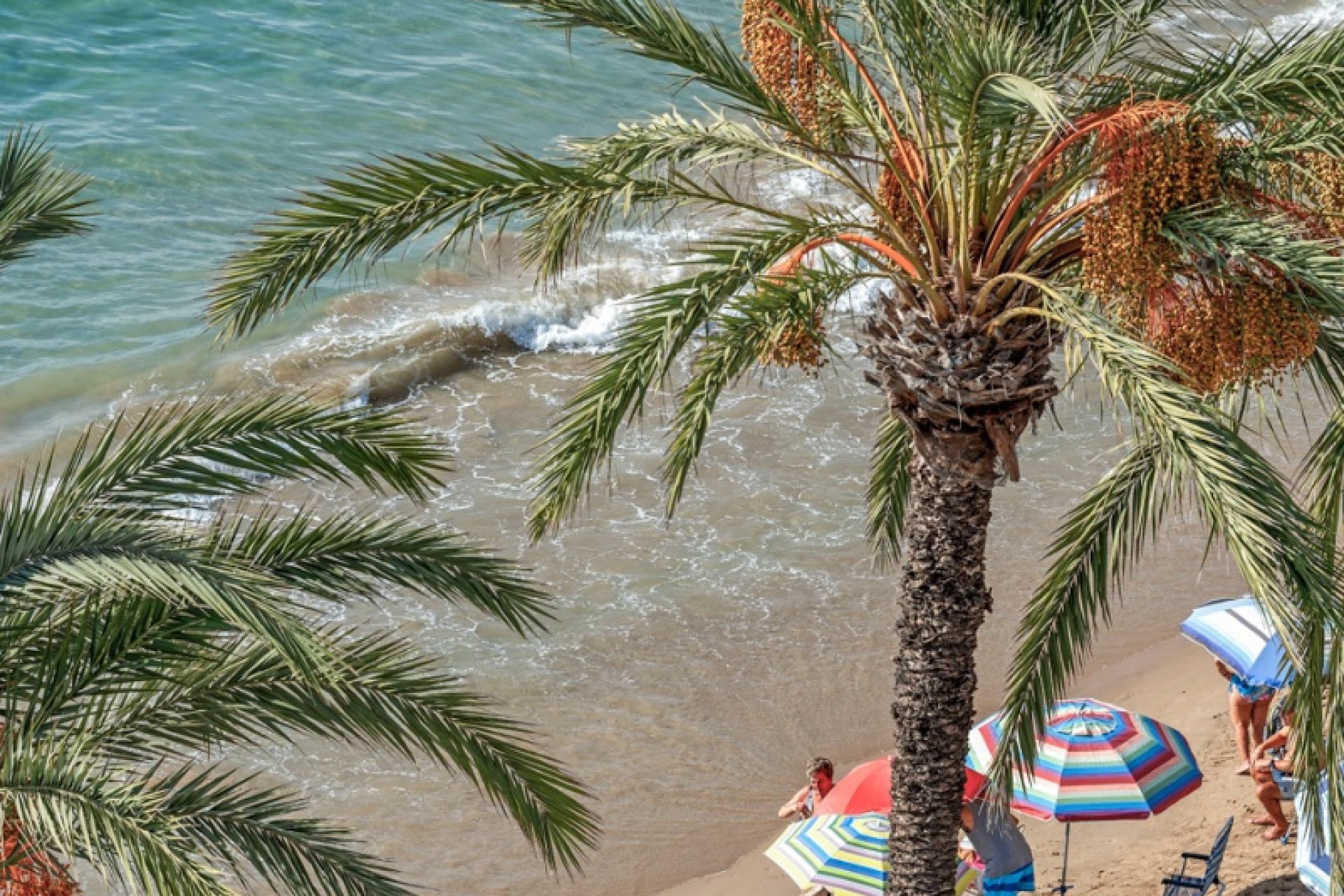 Wiederverkauf - Wohnung - Torrevieja - Costa Blanca Süd