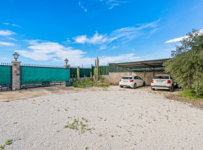 Chalet · Resale - Elche/Elx · Alicante · Spain