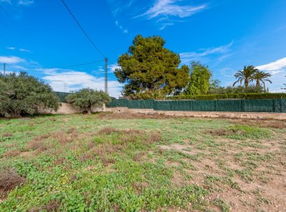 Chalet · Resale - Elche/Elx · Alicante · Spain