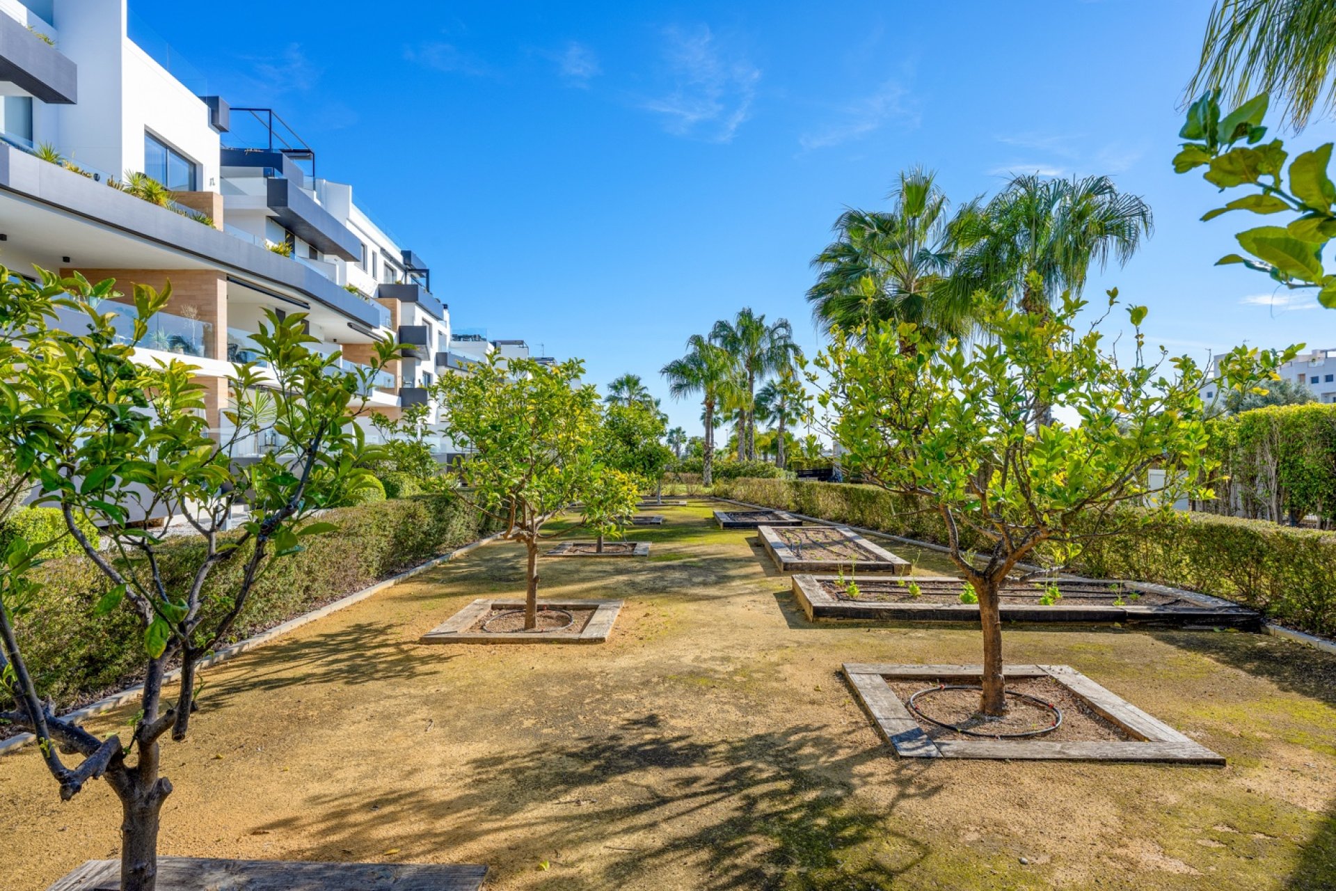Återförsäljning - Takvåning - Orihuela Costa - Costa Blanca South