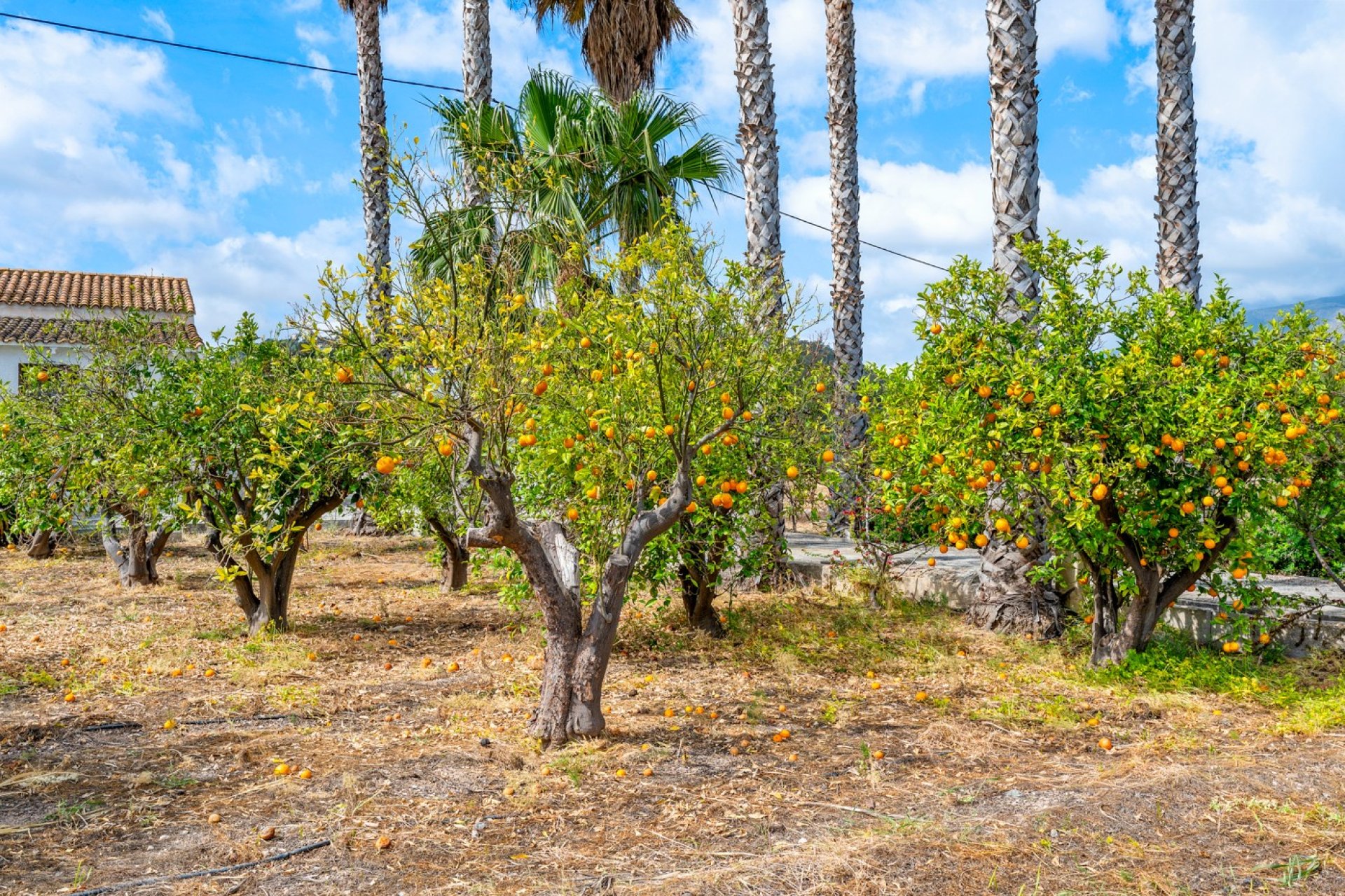 Wiederverkauf - Country estate - La Nucía - Costa Blanca Nord