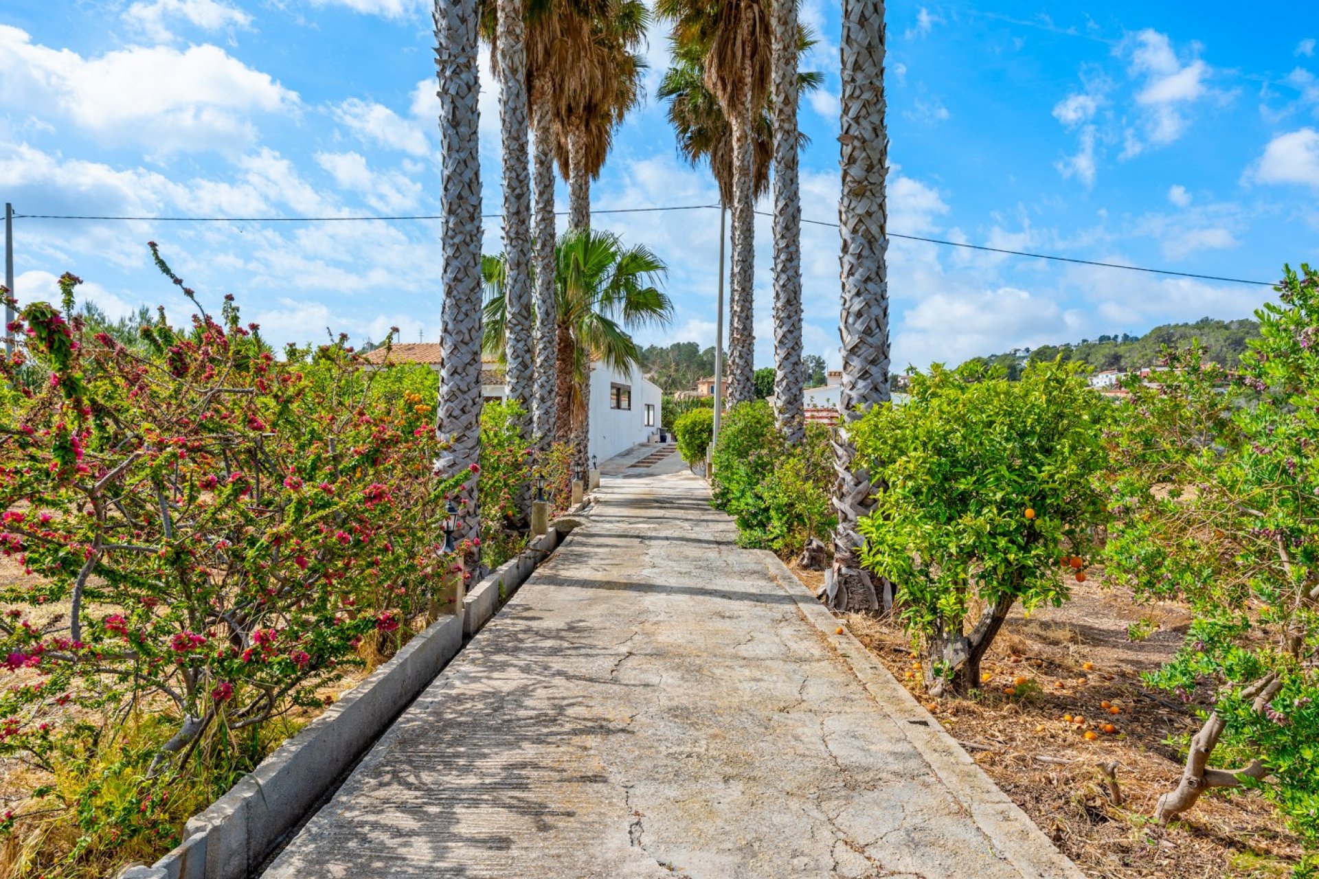 Wiederverkauf - Country estate - La Nucía - Costa Blanca Nord