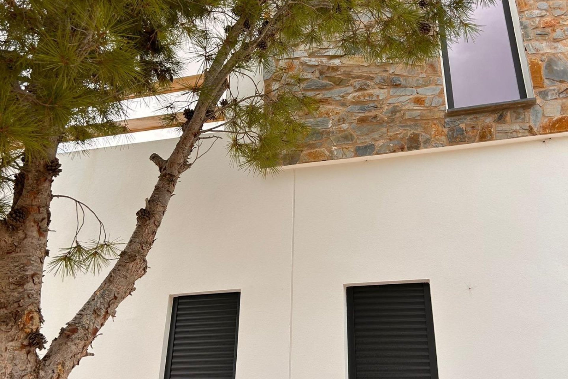 Nybyggnation - Villa - Pinoso