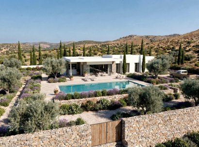 Villa · Nieuwbouw Woningen - Pinoso · Casas Pastor · Alicante · Spanje