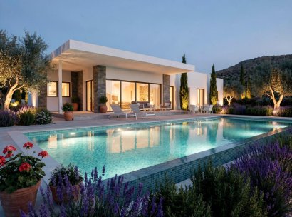 Villa · Nieuwbouw Woningen - Pinoso · Casas Pastor · Alicante · Spanje