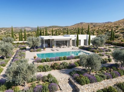 Villa · Nieuwbouw Woningen - Pinoso · Casas Pastor · Alicante · Spanje