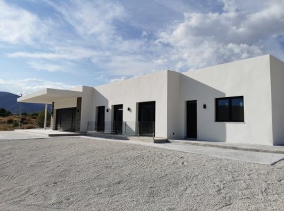 Villa · Nieuwbouw Woningen - Pinoso · Casas Pastor · Alicante · Spanje