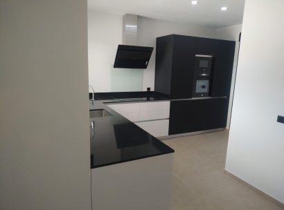 Villa · Nieuwbouw Woningen - Pinoso · Casas Pastor · Alicante · Spanje