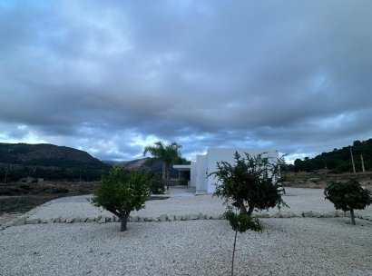 Villa · Nieuwbouw Woningen - Pinoso · Casas Pastor · Alicante · Spanje