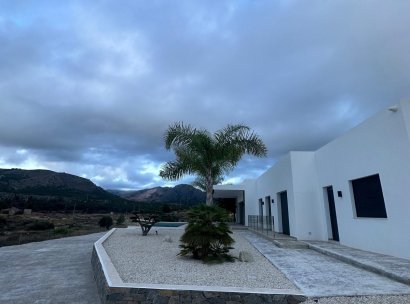Villa · Nieuwbouw Woningen - Pinoso · Casas Pastor · Alicante · Spanje
