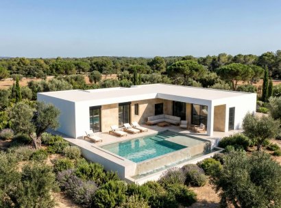 Villa · Nieuwbouw Woningen - Pinoso · Casas Pastor · Alicante · Spanje