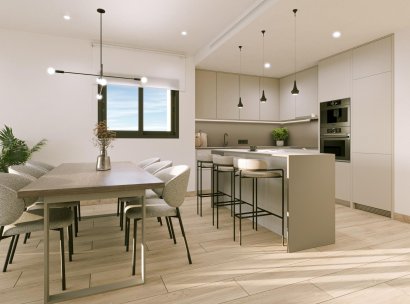 Penthouse · New Build - Torrevieja · La Hoya · Alicante · Spain
