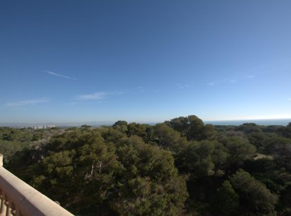 Wohnung · Neue Gebäude - Benijofar · Pueblo · Alicante · Spanien