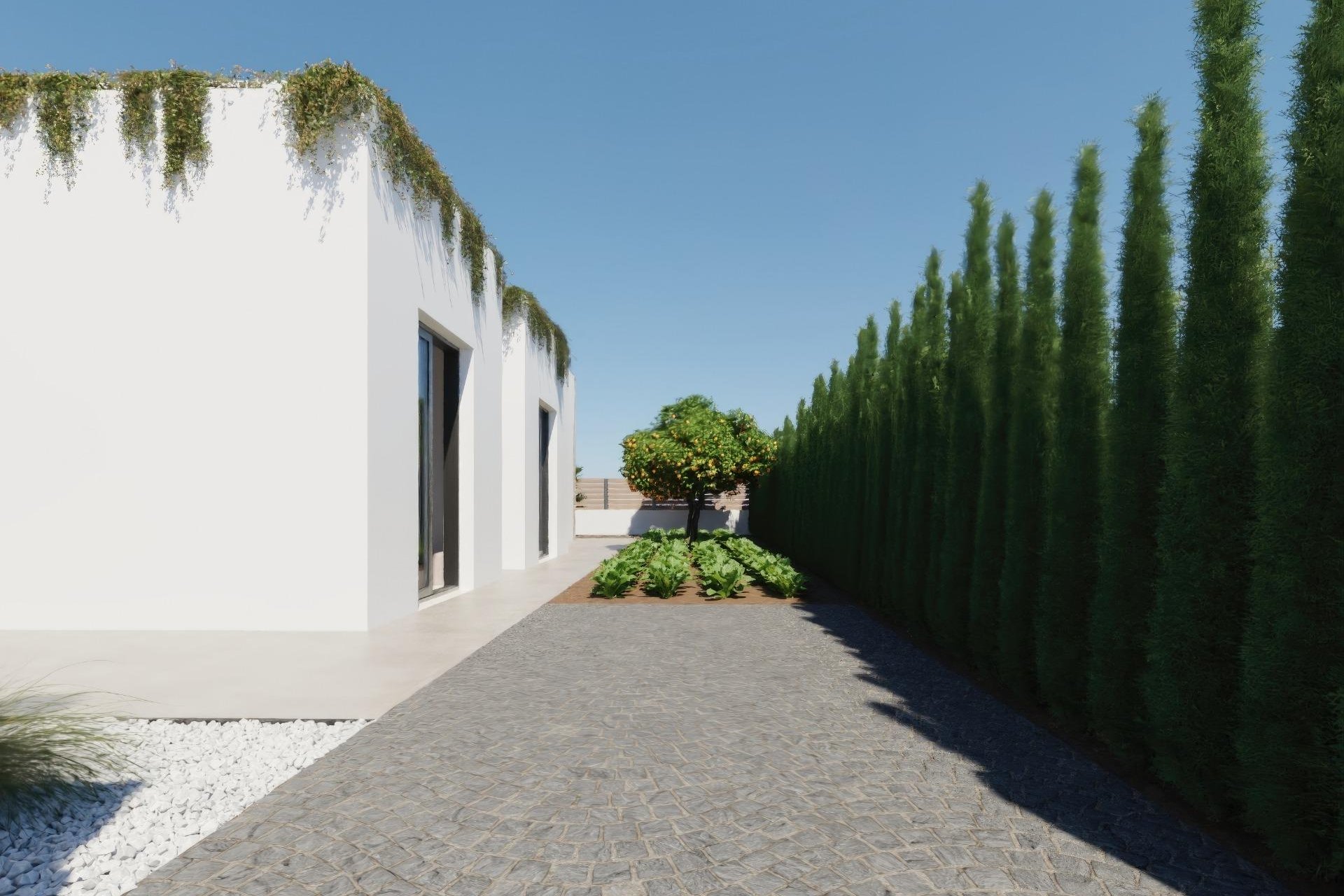 New Build - Villa - Fuente Alamo - Costa Calida