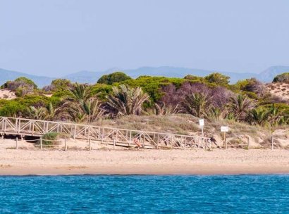 Wohnung · Neue Gebäude - Benijofar · Pueblo · Alicante · Spanien
