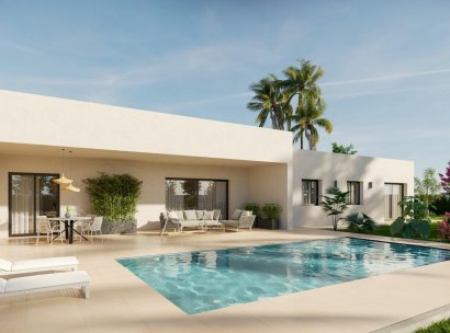 Villa · Nieuwbouw Woningen - Aspe · Poligono 19 · Alicante · Spanje