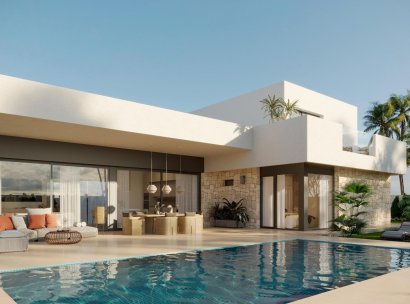 Villa · Nieuwbouw Woningen - Aspe · Poligono 19 · Alicante · Spanje