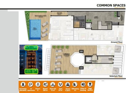 Apartment · New Build - Torrevieja · Playa de El Cura · Alicante · Spain