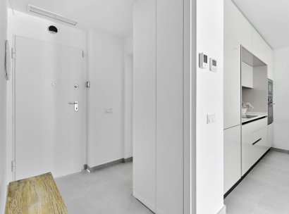 Bungalow · New Build - Torrevieja · Villa Amalia · Alicante · Spain
