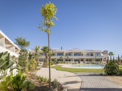 Bungalow · New Build - Torrevieja · Villa Amalia · Alicante · Spain